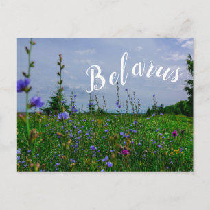 Landschaft Landschaft Landschaft Landschaft Feld B Postkarte