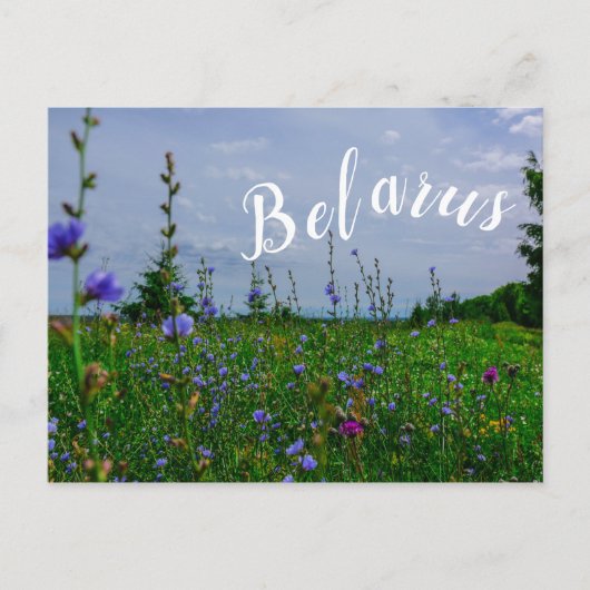 Landschaft Landschaft Landschaft Landschaft Feld B Postkarte (Vorderseite)