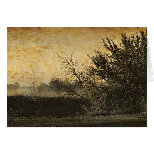 Landschaft Landschaft Rustikale Winterbäume (Vorderseite (Horizontal))