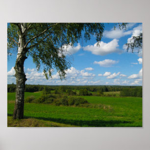 Landschaft Landschaft Wiese Weißrussland Poster