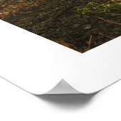 Landschaft Mannheim 1 Poster (Ecke)