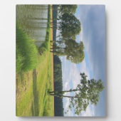 Landschaft mit Bäumen Fotoplatte (Vorderseite)