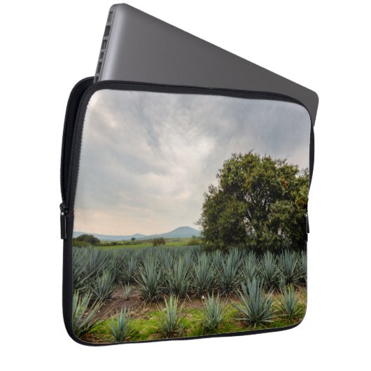 Landschaft mit blauer Agave Laptopschutzhülle (Vorne Rechts)
