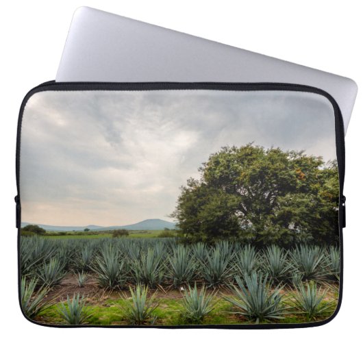 Landschaft mit blauer Agave Laptopschutzhülle (Vorderseite)