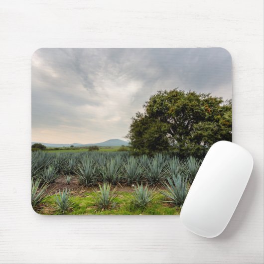 Landschaft mit blauer Agave Mousepad (Mit Mouse)