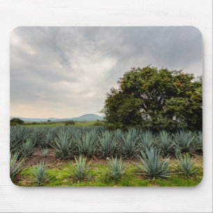 Landschaft mit blauer Agave Mousepad