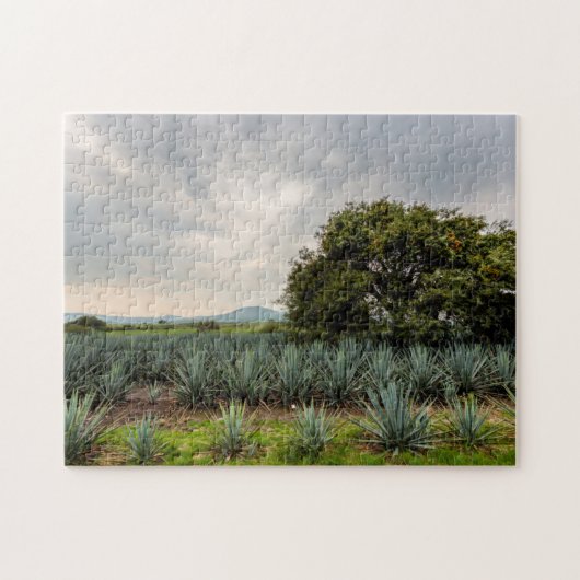Landschaft mit blauer Agave Puzzle (Horizontal)