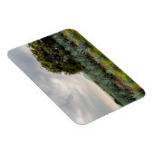 Landschaft mit Blue Agave Magnet (Rechte Seite)