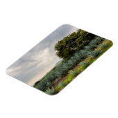 Landschaft mit Blue Agave Magnet (Linke Seite)