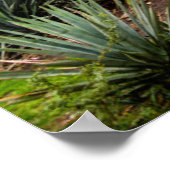 Landschaft mit Blue Agave Poster (Ecke)