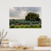 Landschaft mit Blue Agave Poster (Küche)