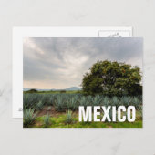 Landschaft mit Blue Agave Postkarte (Vorne/Hinten)