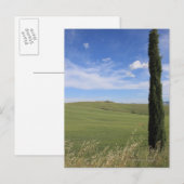 Landschaft mit Cypress Postkarte (Vorne/Hinten)