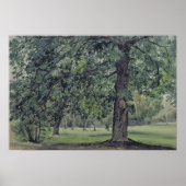 Landschaft mit Kastanienbaum im Grünen Poster (Vorne)