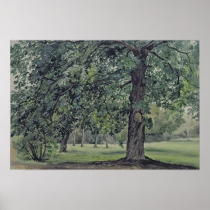 Landschaft mit Kastanienbaum im Vordergrund Poster
