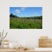Landschaft mit Lupinen - Poster (Küche)