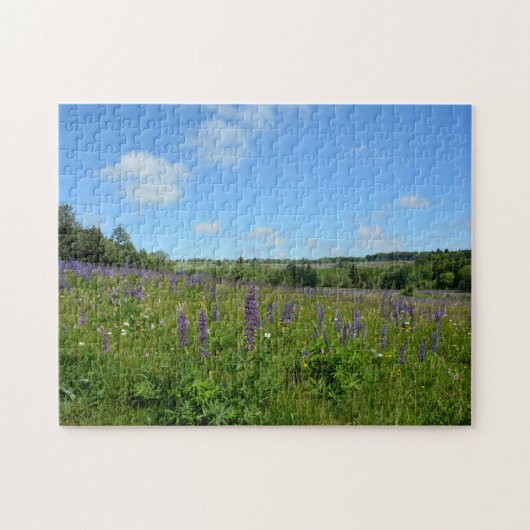 Landschaft mit Lupinen - Puzzle (Horizontal)