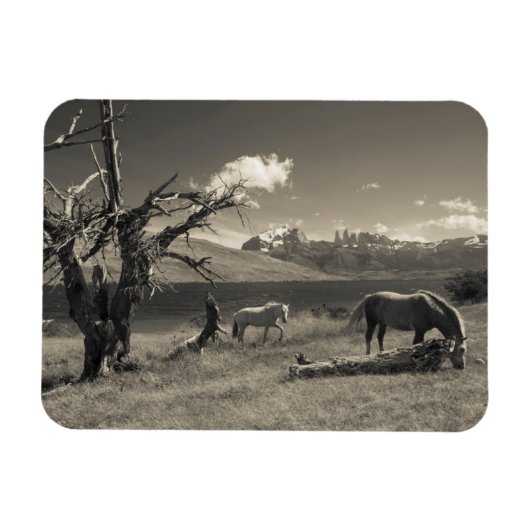 Landschaft mit Pferden Magnet (Horizontal)