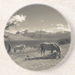 Landschaft mit Pferden Sandstein Untersetzer