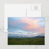 Landschaft mit pfirsichblauem Himmel und Antilopen Postkarte (Vorne/Hinten)