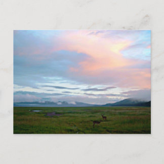 Landschaft mit pfirsichblauem Himmel und Antilopen Postkarte