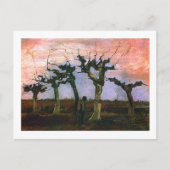 Landschaft mit Pollard Willows, Vincent van Gogh Postkarte (Vorderseite)