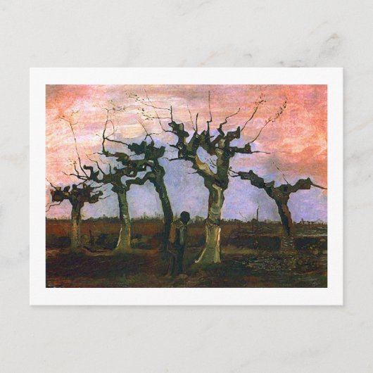 Landschaft mit Pollard Willows, Vincent van Gogh Postkarte (Vorderseite)