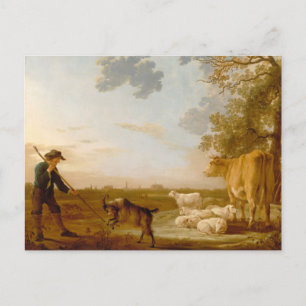 Landschaft mit Rindern Aelbert Cuyp Postkarte