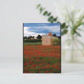 Landschaft mit Scheune auf einem Mohnfeld Portrait Postkarte (Stehend Vorderseite)
