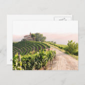 Landschaft mit Weinbergen und Kirche Postkarte (Vorne/Hinten)