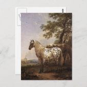 Landschaft mit zwei Pferden Postkarte (Vorne/Hinten)