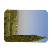 Landschaft nahe Pienza. Val d'Orcia, Siena Magnet (Horizontal)