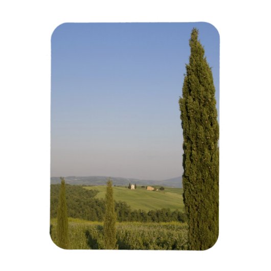 Landschaft nahe Pienza. Val d'Orcia, Siena Magnet (Vertikal)
