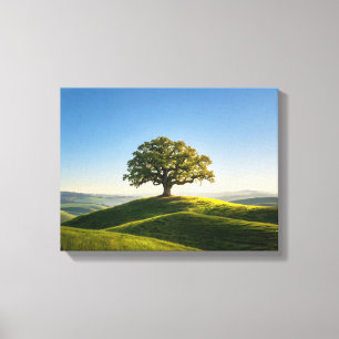 Landschaft Nr. 6, Landschaftsreihe Leinwanddruck