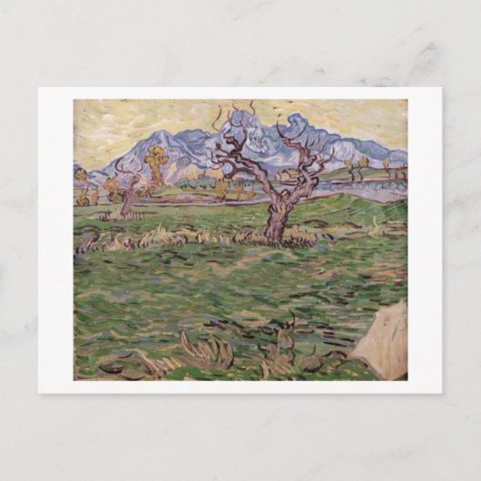 Landschaft Olive Tree Berge, Van Gogh Kunst Postkarte (Vorderseite)