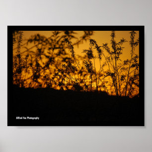 Landschaft Orange Sonnenuntergang Silhouette Poster