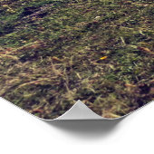 Landschaft Poster (Ecke)