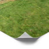 Landschaft Poster (Ecke)