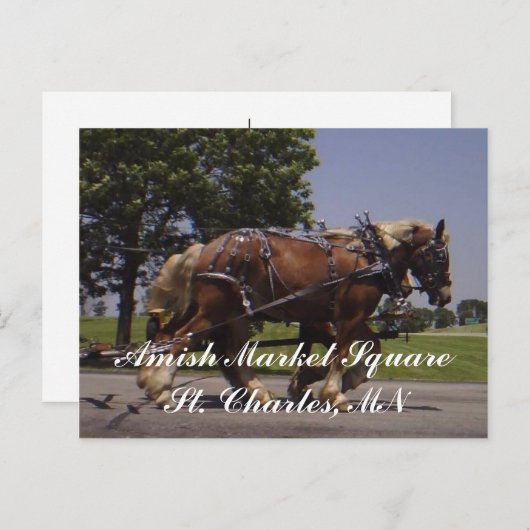 Landschaft Postkarte (Vorne/Hinten)