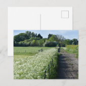 Landschaft Postkarte (Vorne/Hinten)