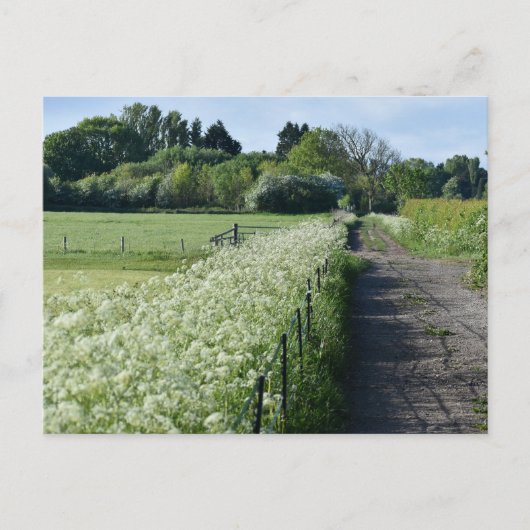 Landschaft Postkarte (Vorderseite)