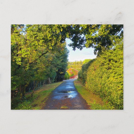 Landschaft Postkarte (Vorderseite)