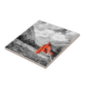 Landschaft Schwarz-Weiß-Fotografie Fliese (Seite)