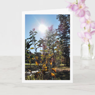 Landschaft Sommer im Land Karte