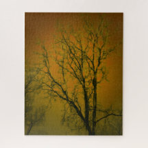 Landschaft Tree Glass Art Fotograf Orange Brown
