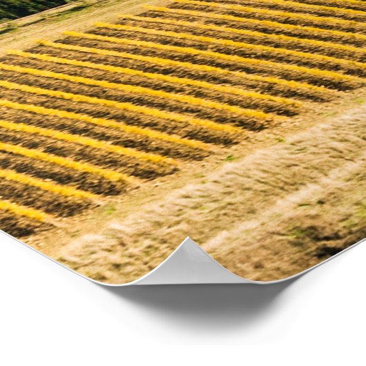 Landschaft über Orvieto Poster (Ecke)