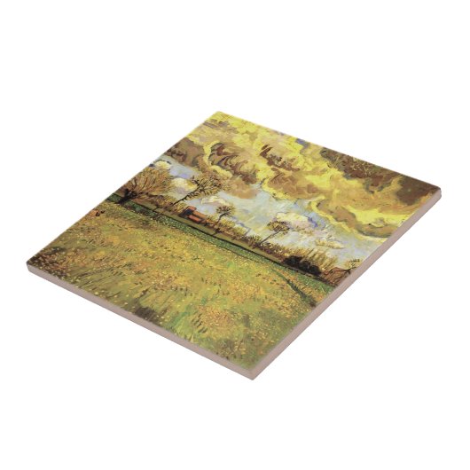 Landschaft unter einem stürmischen Himmel von Vinc Fliese (Seite)