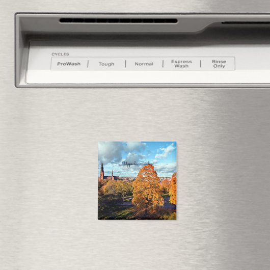 Landschaft Uppsala, Schweden Magnet (In Situ (Geschirrspüler))