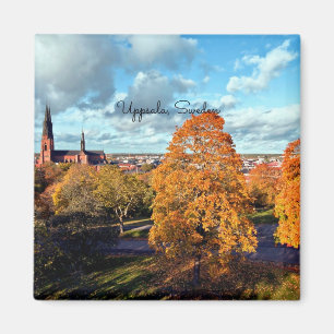 Landschaft Uppsala, Schweden Magnet