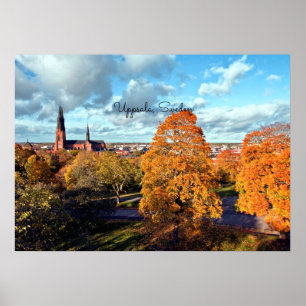 Landschaft Uppsala, Schweden Poster